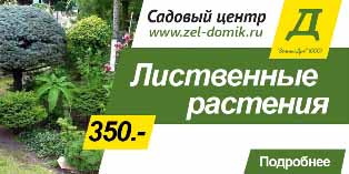 Лиственные растения