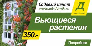 Вьющиеся растения