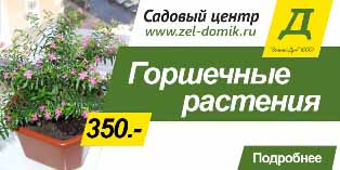 Горшечные растения